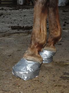 North Horse: DIY Founder Care: Laminitis Explained & Treated, Farmer-Style