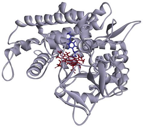 JPM | Free Full-Text | Functional Characterization of 21 Rare Allelic ...