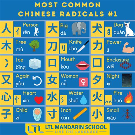 Why Isn’t There a Chinese Alphabet? Master The Basics Fast