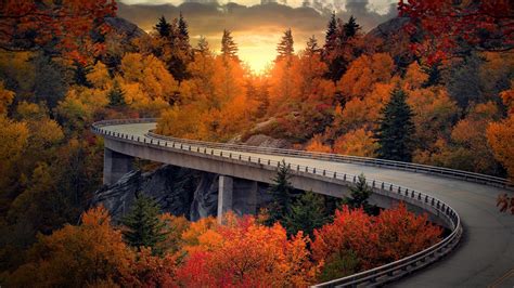 Autumn Forest Viaduct HD Wallpaper