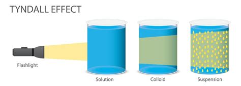 Difference Between Colloid And Suspension Difference, 54% OFF