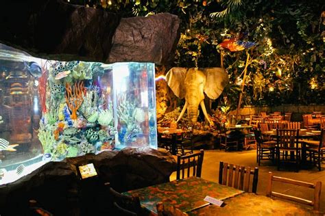 Review: Rainforest Cafe at Disney Springs