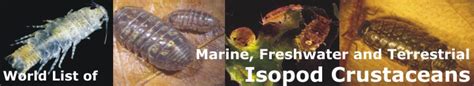 World List of Marine, Freshwater and Terrestrial Isopod Crustaceans