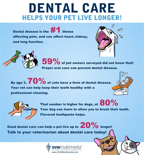 Pets Need Dental Care! | West Charleston Animal Hospital