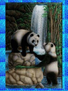 pandas GIF - Download & Share on PHONEKY