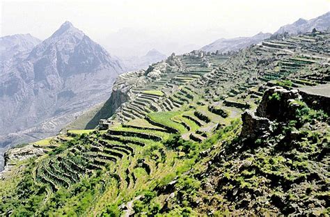 Terrace Farming Andes