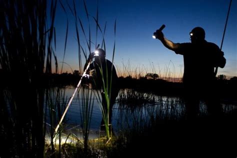 Frog Gigging: A Nighttime Treat | Conservation Federation of Missouri