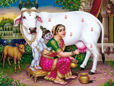 Krishna and Cow Wallpapers - Top Free Krishna and Cow Backgrounds ...