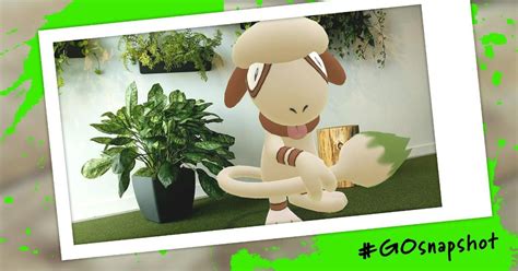 How to Catch Shiny Smeargle in 'Pokémon GO'