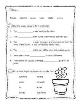 Plant Worksheets For 2nd Grade