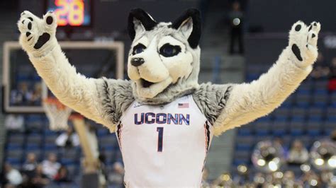 UConn Huskies Roundup - 1/26/17