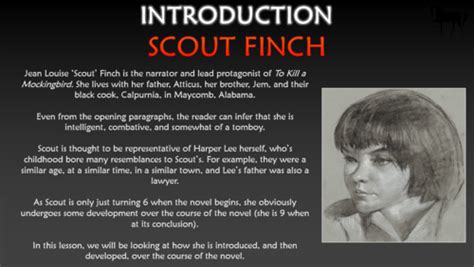 Scout finch character analysis. To Kill a Mockingbird: Scout Jean Louise Finch. 2022-10-29