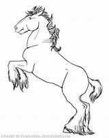 Draft Horse Coloring Pages sketch template