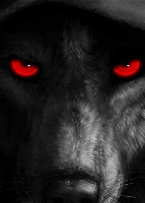 Pin by Maria Garcia on Letras e imagenes | Wolf eyes, Wolf pictures ...