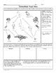 Australian Terrestrial Food Web Biology Homework Worksheet | TpT