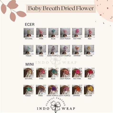 Jual BUNGA BABY BREATH NATURAL DAN WARNA BUNGA KERING PRESERVED DRIED ...