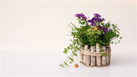 How to cover plastic plant pots (Comprehensive Ideas for Materials) - A Calming Home