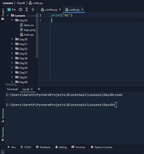 Python In Windows Terminal