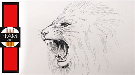 How To Draw A Lion Roaring - vrogue.co