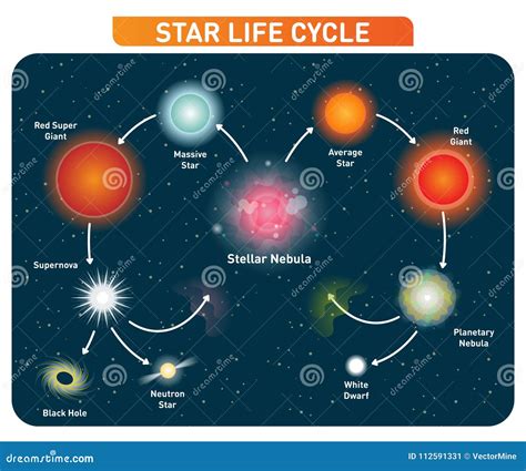 Simple Life Cycle Of A Star Diagram - bmp-cyber