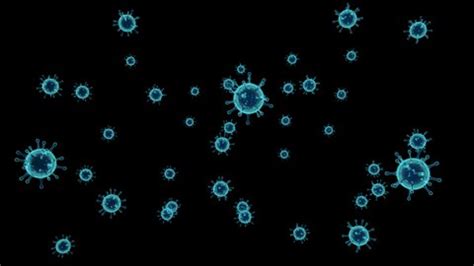 Virus Background Animation Full Hd 8 Stock Footage Video (100% Royalty-free) 1095368207 ...