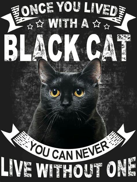 Pin by Hellbetty T♡ on A աíԵϲհҽՏ ҒΔMILIΔR | Black cat quotes, Black cat ...