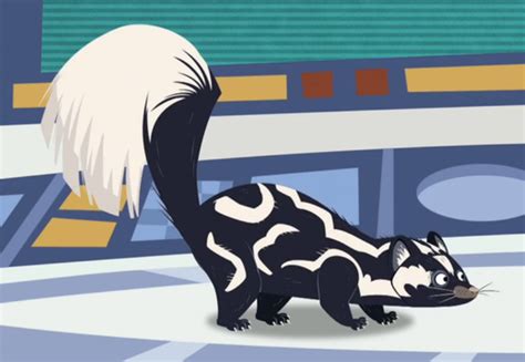 Western Spotted Skunk/Spilogale Gracilis | Wild kratts, African wild ...