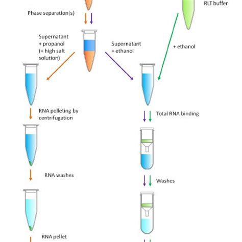 Schematics of RNA extraction procedures for GITC based method (orange... | Download Scientific ...