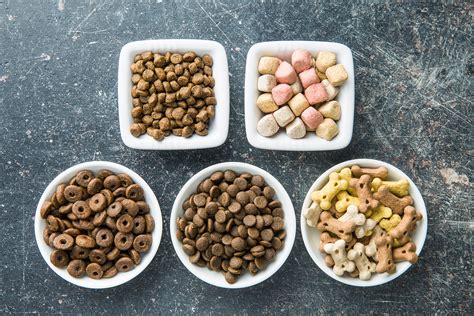 Understanding dog food ingredients - Know My Pet