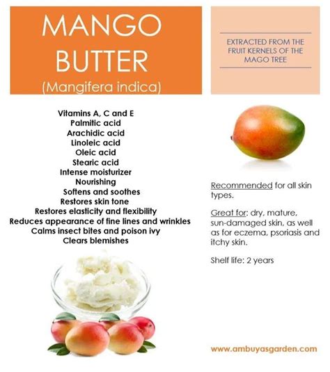 Benefits of Mango Butter in 2024 | Skin care recipes, Natural skin care diy, Holistic recipes