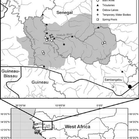 Middle course of the Gambia River including major tributaries and... | Download Scientific Diagram