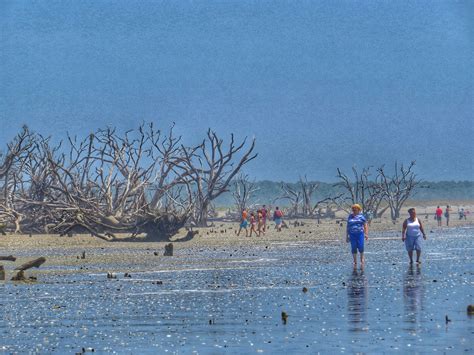 BirdsEyeViews: Botany Bay’s Boneyard Beach