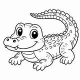 Alligator Coloring Pages 4  Gem sketch template