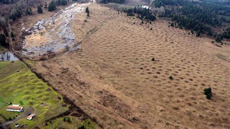 The Mima Mounds in Washington Are a Phenomenon Unexplained by Science ...