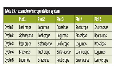 Understanding crop rotation