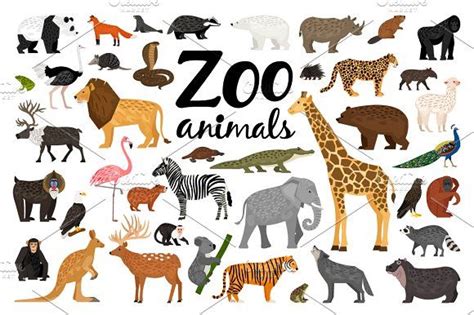 Zoo Animals by ianakauri on @creativemarket Animals Images, Zoo Animals, Animal Pictures, Ink ...