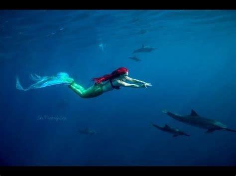 Ariel the Little Mermaid Swims With Dolphins - YouTube | Mermaid swimming, The little mermaid ...