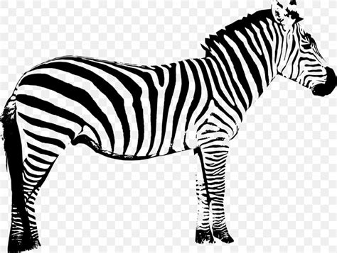 Vector Graphics Clip Art Zebra Silhouette Illustration, PNG, 1280x966px ...