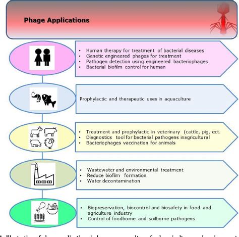 Figure 1 from Bacteriophage applications in aquaculture | Semantic Scholar