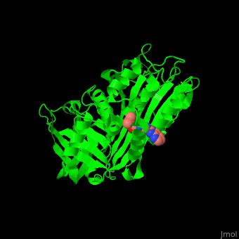 Plasminogen activator inhibitor - Proteopedia, life in 3D