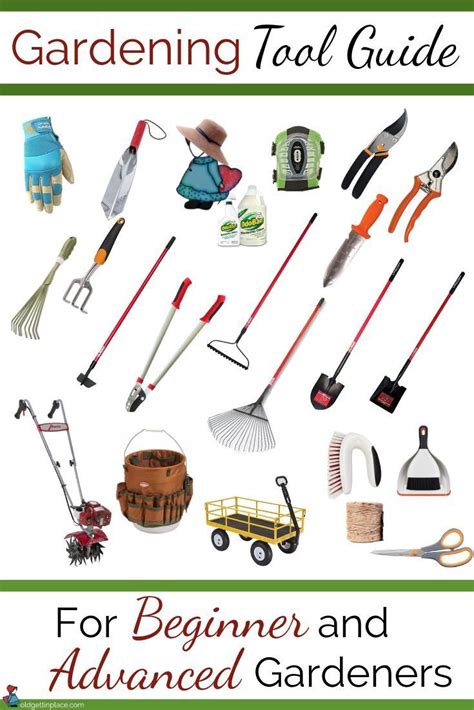 Complete Gardening Tool Guide for All Gardeners | Garden tools, Best garden tools, Gardening for ...