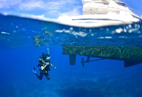 The 9 Best Snorkeling and Scuba Diving Sites in Turks and Caicos