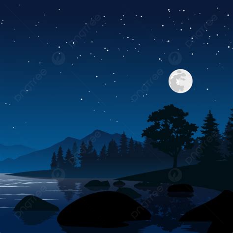 Full Moon Night Forest Scene