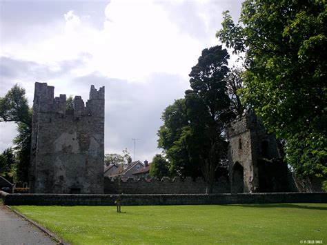 Ireland In Ruins: Monkstown Castle Co Dublin