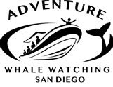 Adventure Whale Watching San Diego Tours - The Official Travel Resource ...