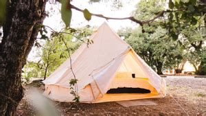 Lake Wylie Camping: Top Tips for Your Next Adventure