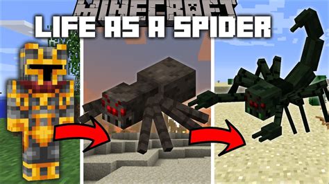 Minecraft LIFE AS A SPIDER MOD / BECOME A SPIDER AND LIVE A COBWEB LIFE !! Minecraft Mods - YouTube