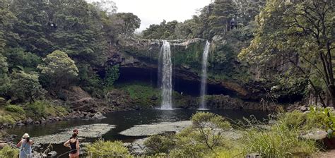 Tarltons Lodge offers many things to do in the Bay of Islands ...