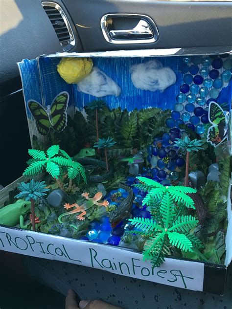 #rainforest #tropical #project #biomeBiome Tropical rainforest project ...