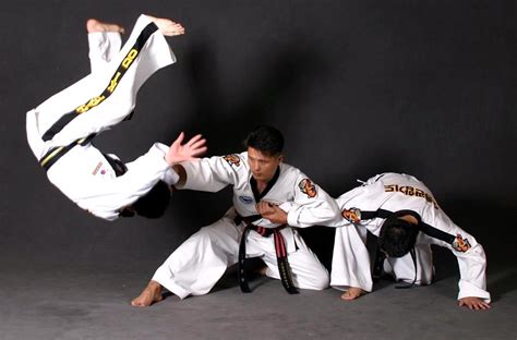 Hapkido | Manchester Martial Arts Centre